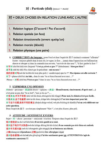 Particule 对 dui_page-0001