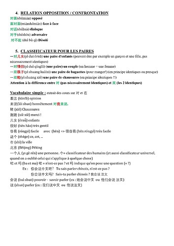 Particule 对 dui_page-0002
